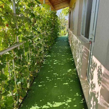 克拉佩茨 Вила Борко酒店 外观 照片